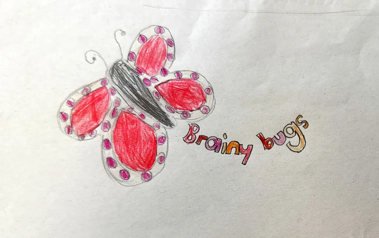 Chatbot for researching information